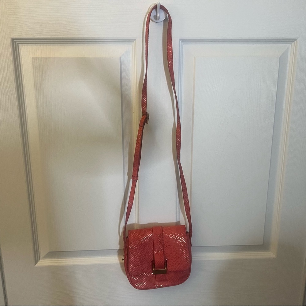Woman’s cross body purse.